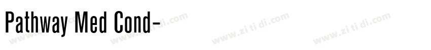Pathway Med Cond字体转换 Pathway Med Cond字体转换